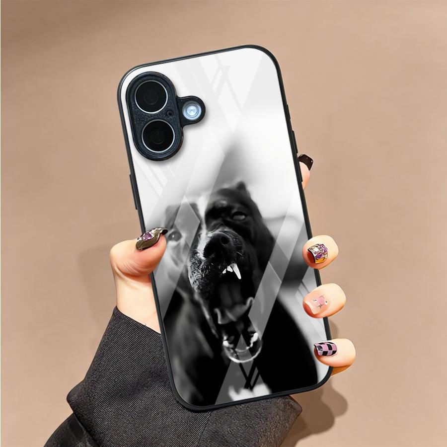Case for iPhone 17 Pro Max 8 1 - Phone Cases Xr Iphone review and price
